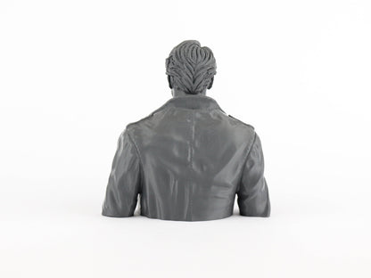 Arnold Schwarzenegger as Terminator 3d Bust Sculpture