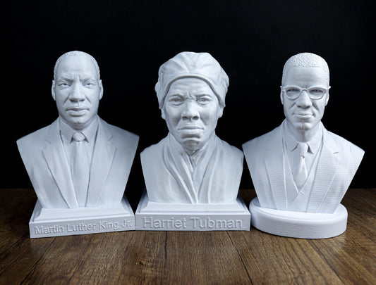 Civil Rights Leaders Bust Value Pack: Martin Luther King Jr ,Malcolm X , Harriet Tubman & More