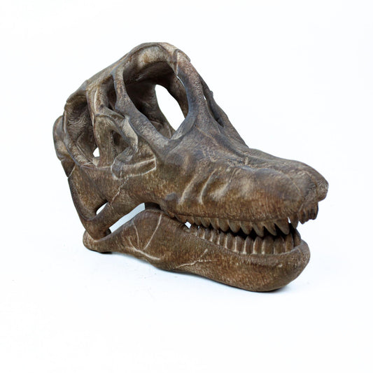 Brachiosaurus Painted Skull Replica, Prehistoric Dinosaur Fossil Model, Unique Dinosaur Lover Gift
