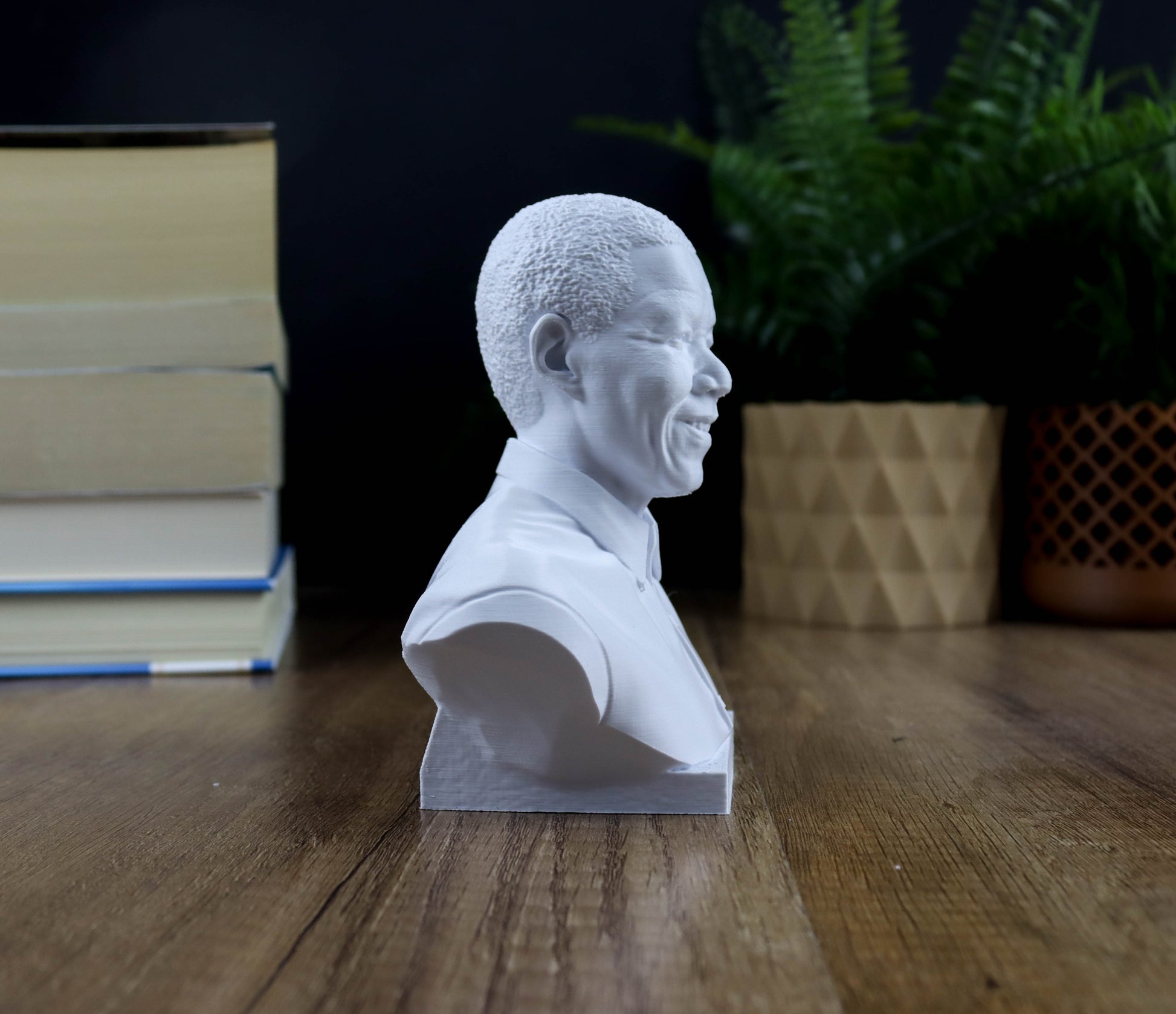 A white bust of a person is displayed on a wooden surface, surrounded by books and a potted plant.