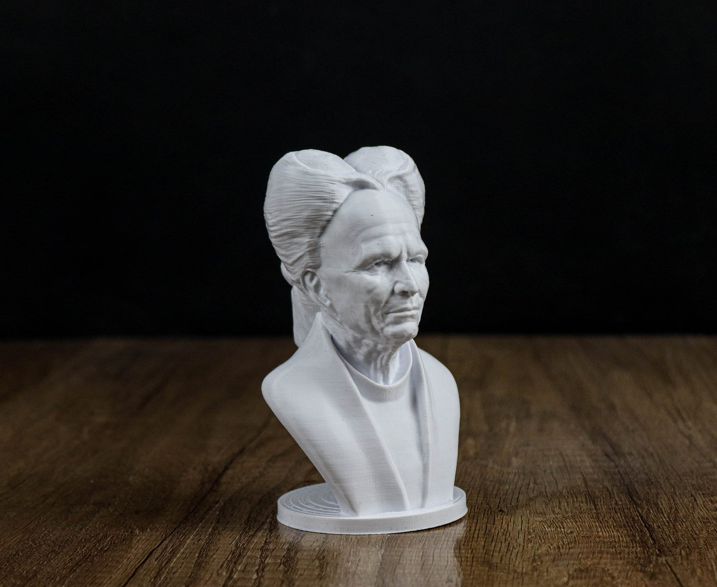 Dracula Bust, Gary Oldman 3d Printed Sculpture