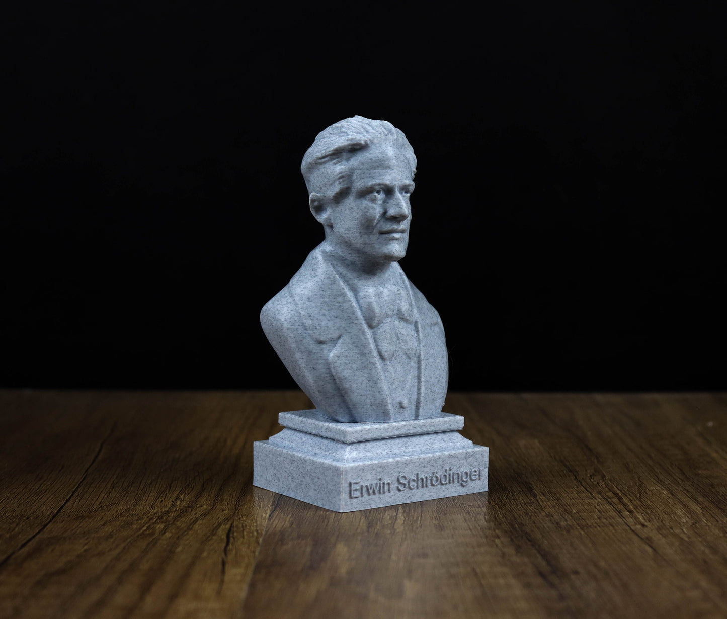 Erwin Schrodinger 3D Sculpture Bust