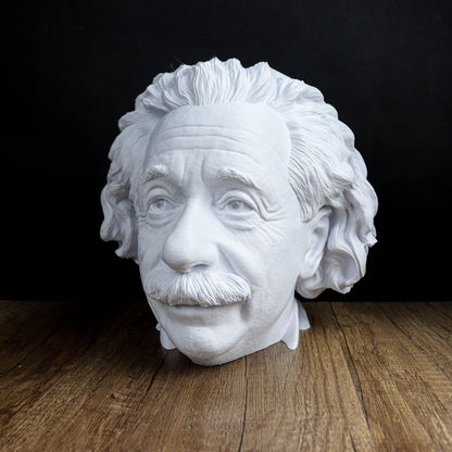 Albert Einstein Head Bust