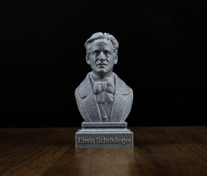 Erwin Schrodinger 3D Sculpture Bust