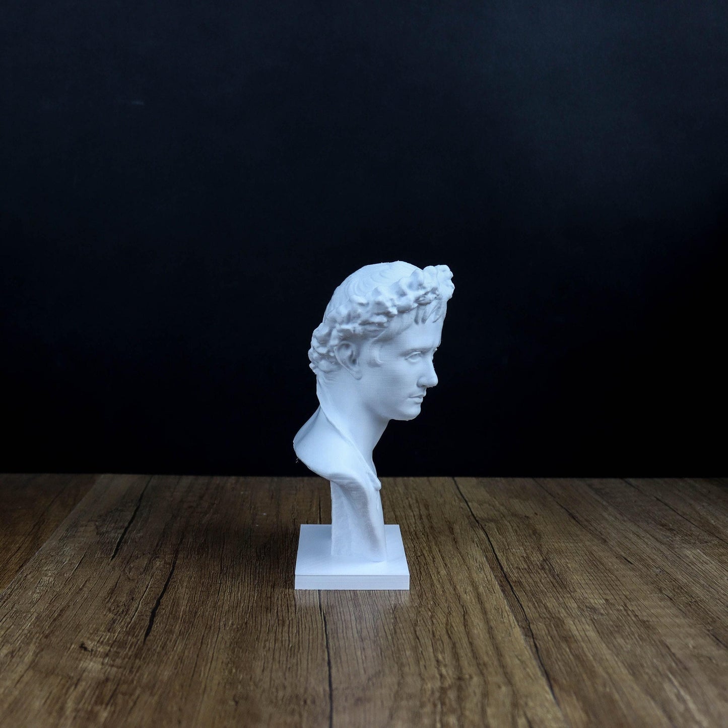 Augustus 3D Printed Bust, Roman Emperor Home Decor