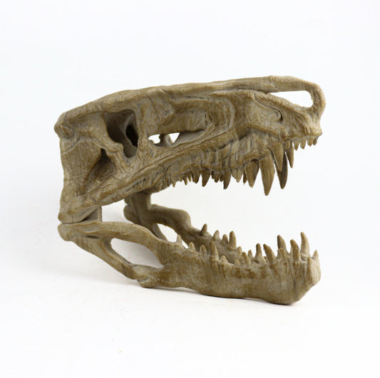 Postosuchus Kkull, Aged Reptile Skull Replica, Prehistoric Dinosaur Fossil Decor, Jurassic Collectible Gift