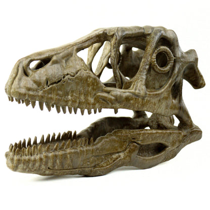 Deinonychus skull, Museum style raptor fossil sculpture for home or office decor