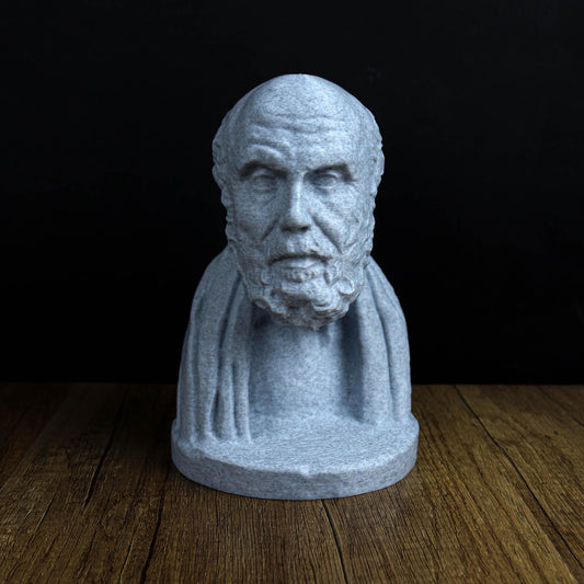 Chrysippus Bust, Statue of Ancient Stoic Philosopher for Bookshelf and Home Decor