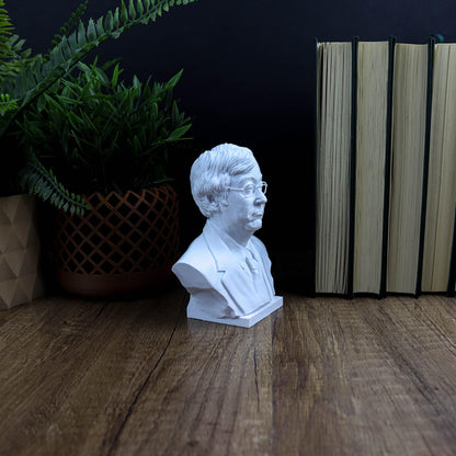 Satoshi Nakamoto 3d printed Bust
