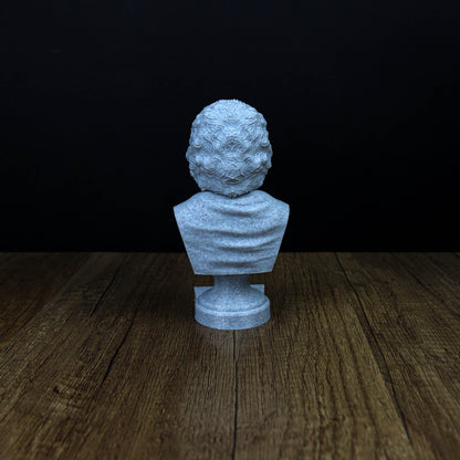 Jean-Jacques Rousseau Bust,  Enlightenment Philosopher Sculpture for Home and Bookshelf Decor, Perfect Gift for Philosophy Enthusiasts