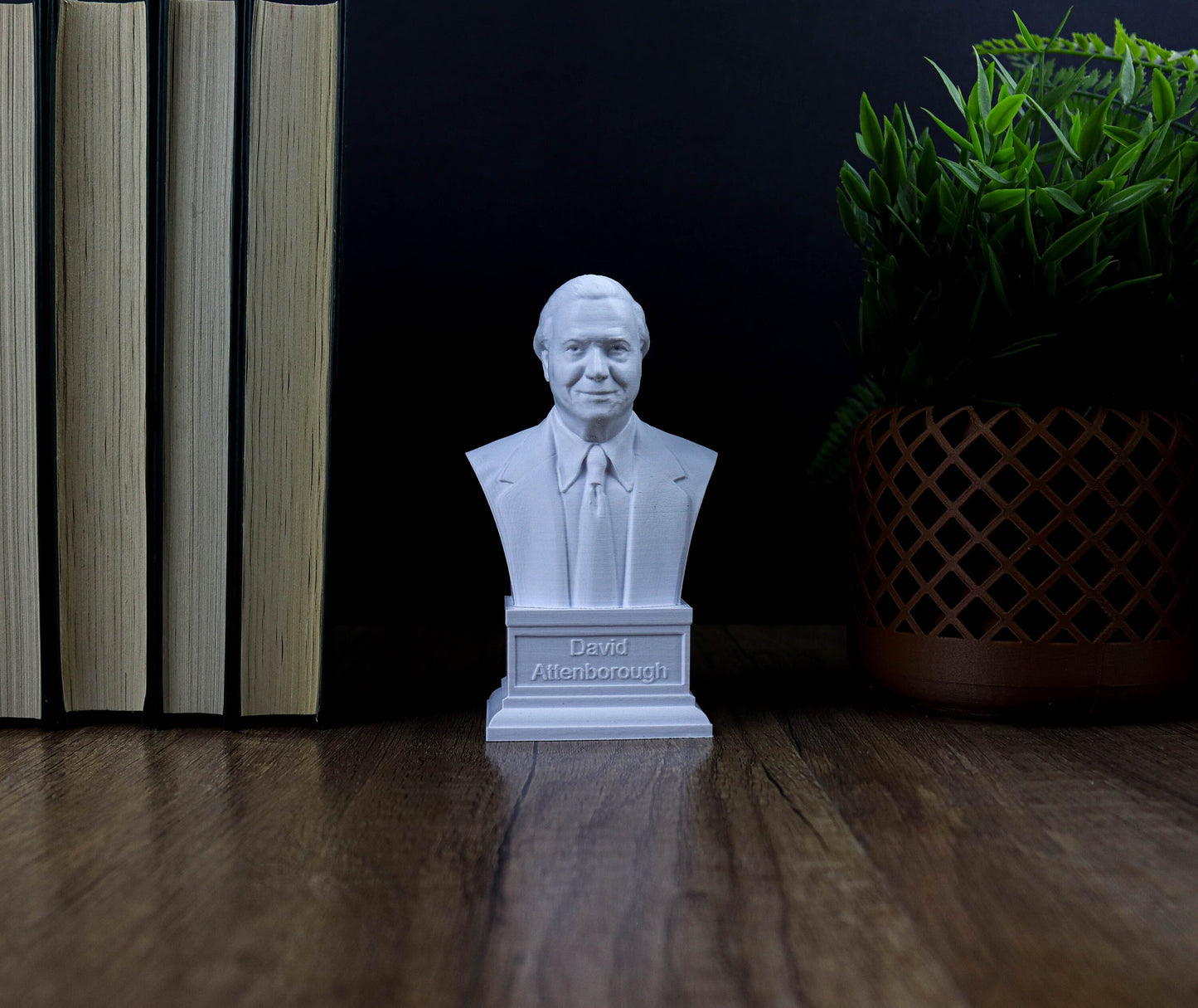 Sir David Attenborough Bust, British Broadcaster, Biologist and Author Statue