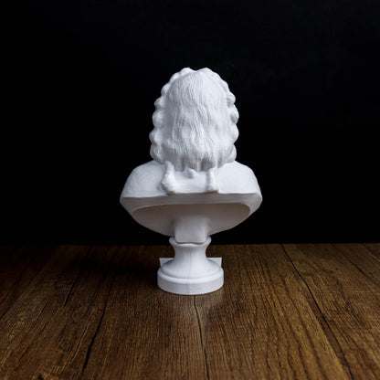 Johann Sebastian Bach Bust, Classical Composer Bookshelf & Home Decor Statue