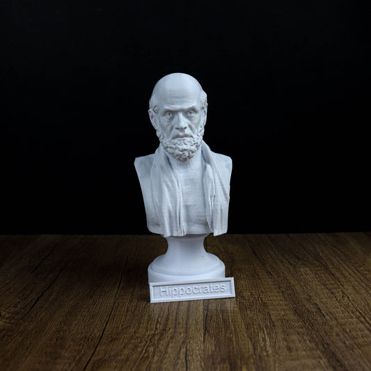 Hippocrates Bust Sculpture, Greek Physician Statue
