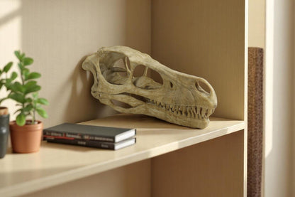 Velociraptor skull, Velociraptor Handpainted Aged Skull Replica, Prehistoric Dinosaur Fossil Decor, Jurassic Collectible Gift