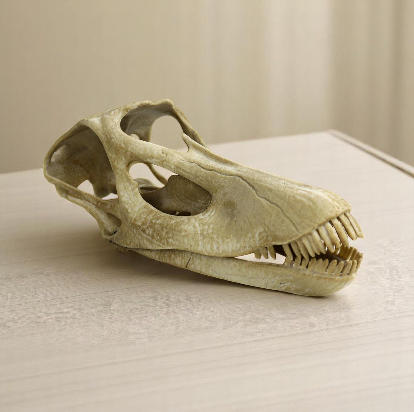 Diplodocus skull, Diplodocus Handpainted Aged Skull Replica, Prehistoric Dinosaur Fossil Decor, Jurassic Collectible Gift