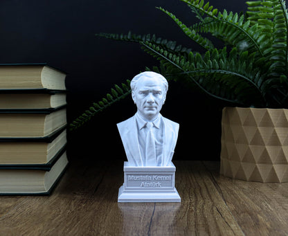 A white bust of a man is displayed on a wooden surface, surrounded by books and a potted plant.