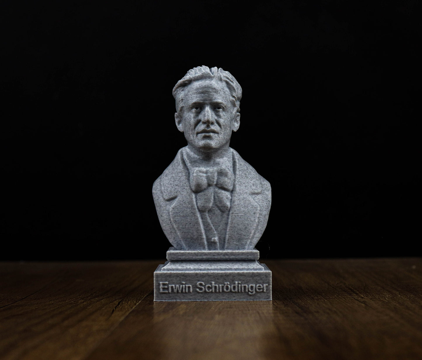 Erwin Schrodinger 3D Sculpture Bust