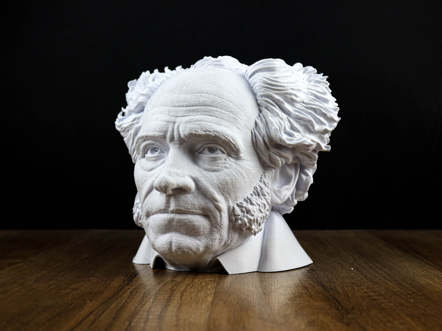 Arthur Schopenhauer Bust, German philosopher Statue, Sculpture Decoration ,Intellectual Home Decor