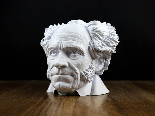 Arthur Schopenhauer Bust, German philosopher Statue, Sculpture Decoration ,Intellectual Home Decor