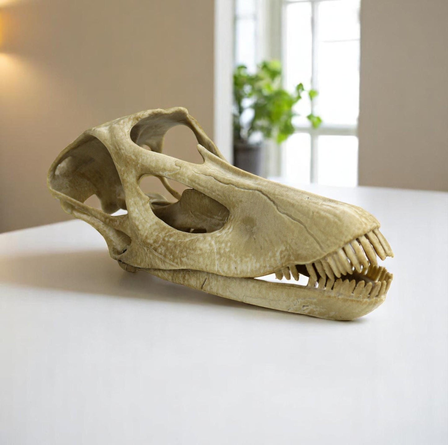 Diplodocus skull, Diplodocus Handpainted Aged Skull Replica, Prehistoric Dinosaur Fossil Decor, Jurassic Collectible Gift