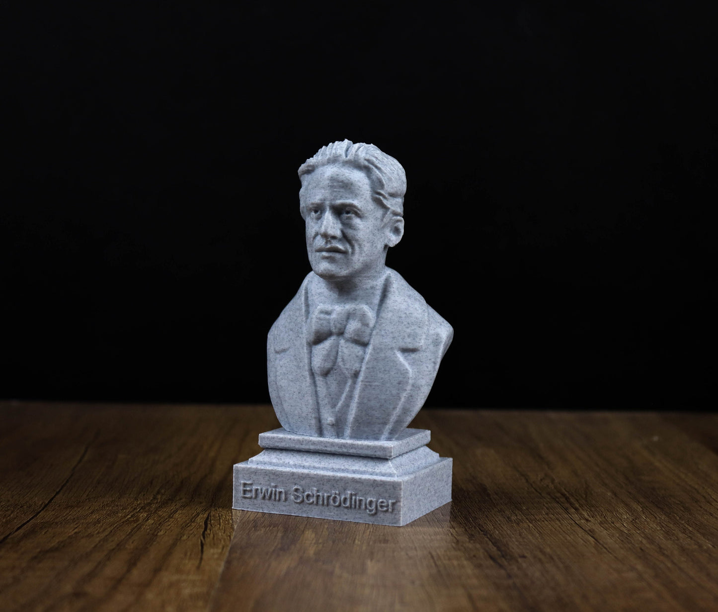 Erwin Schrodinger 3D Sculpture Bust