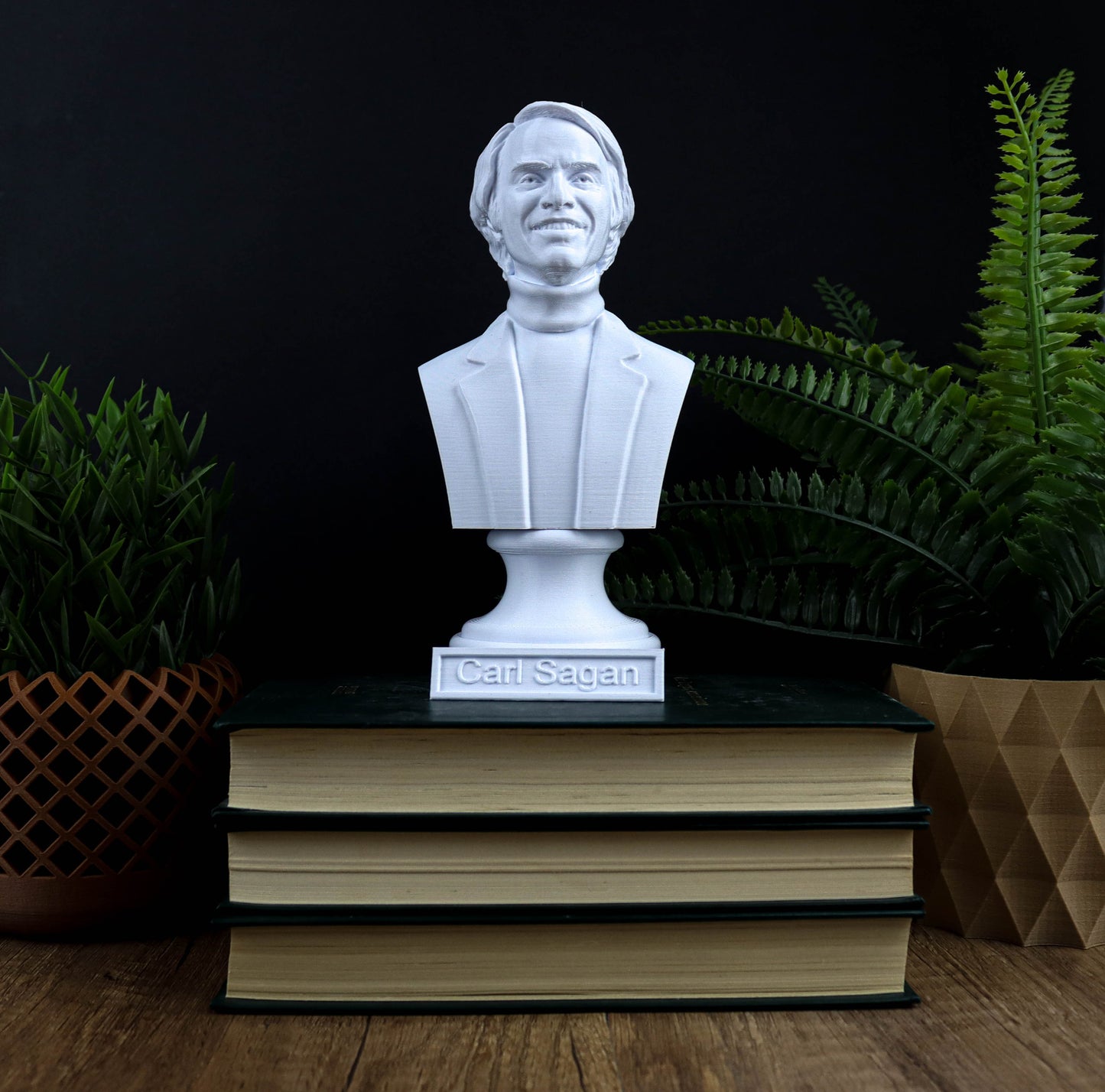 Carl Sagan Bust, American Astronomer Sculpture, Cosmologist Author Statue
