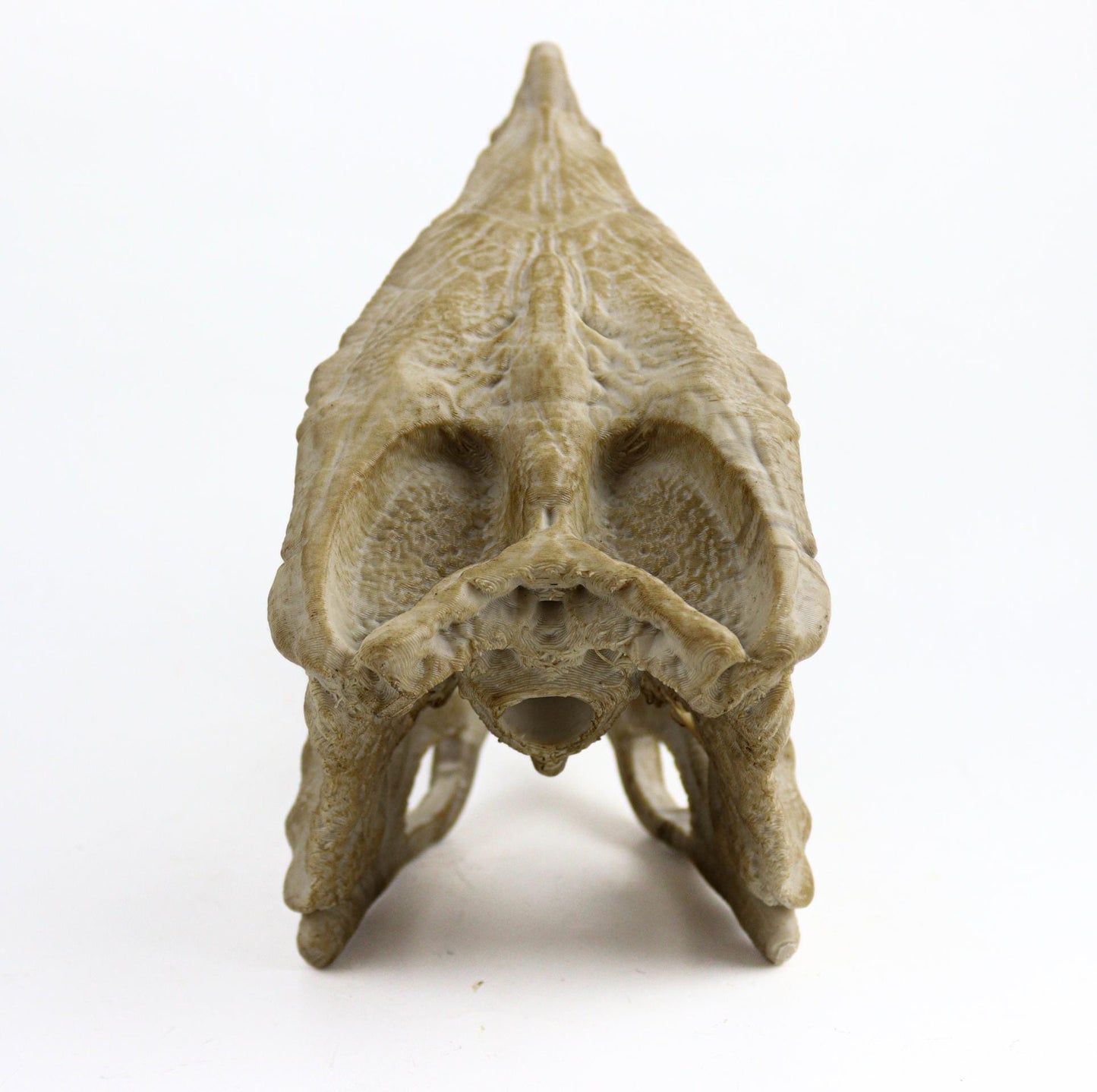 Postosuchus Kkull, Aged Reptile Skull Replica, Prehistoric Dinosaur Fossil Decor, Jurassic Collectible Gift