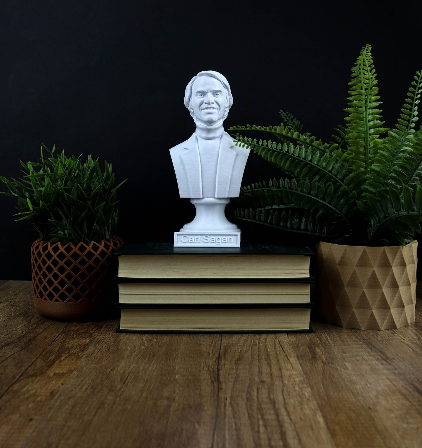 Carl Sagan Bust, American Astronomer Sculpture, Cosmologist Author Statue