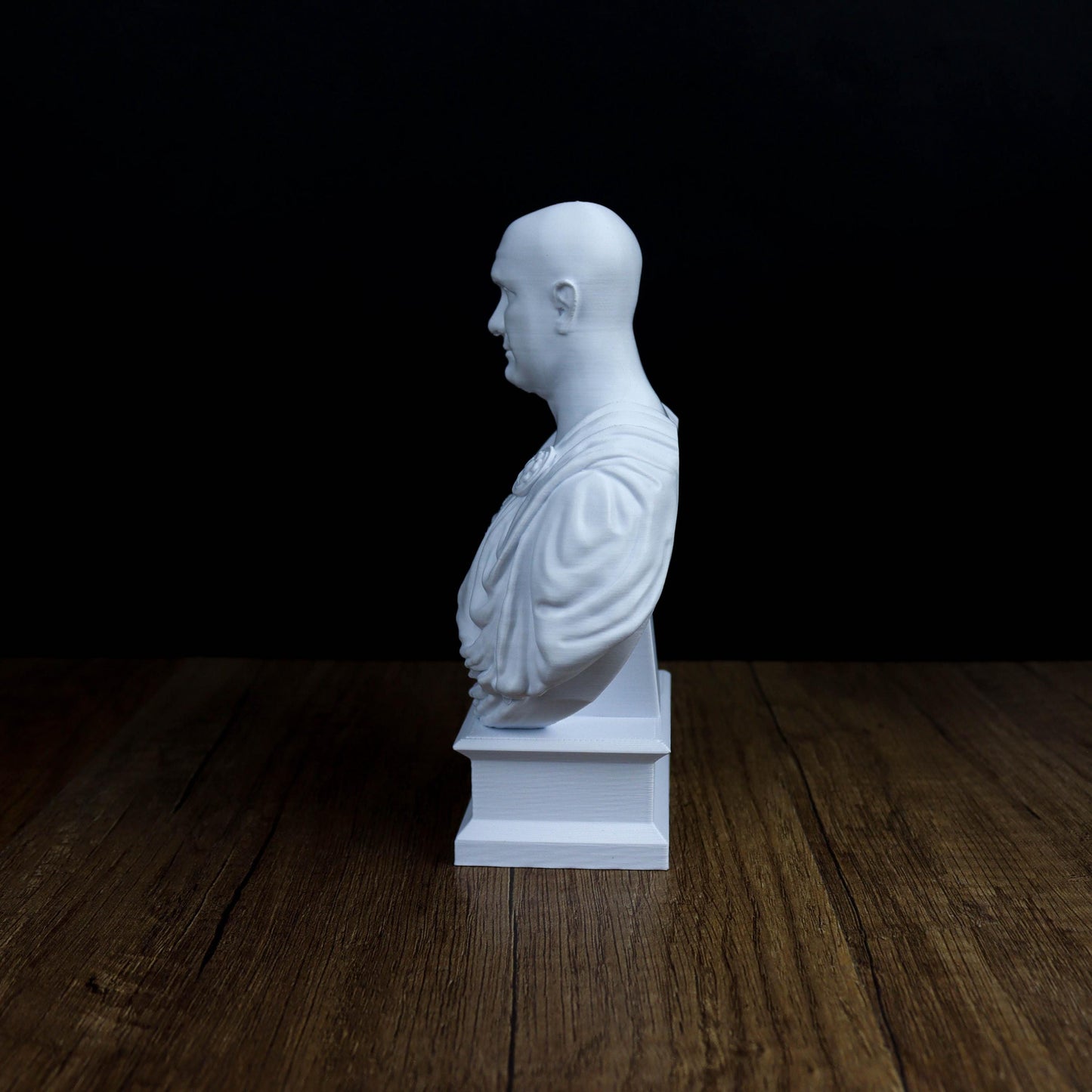 Scipio Africanus Bust, Roman General Bookshelf and Home Decor