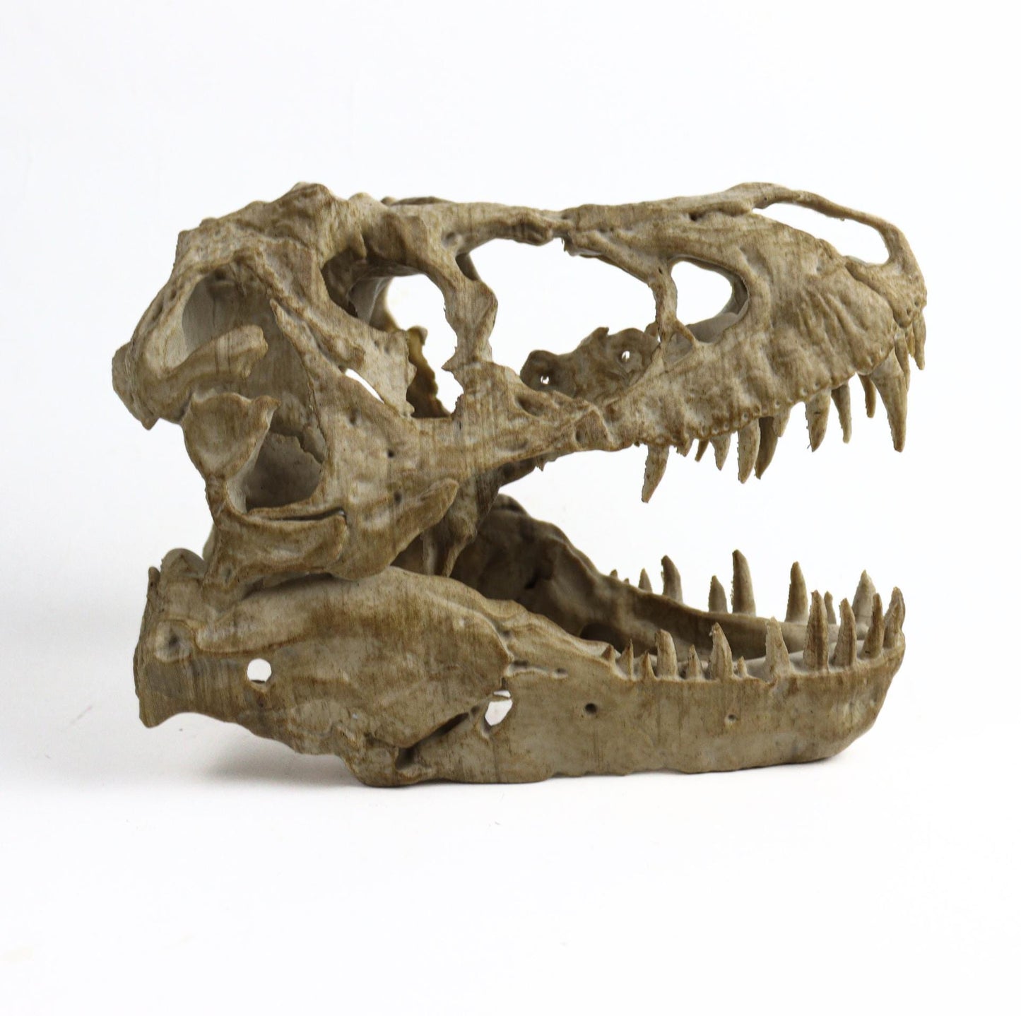 T-rex skull, TRex Aged Skull Replica, Prehistoric Dinosaur Fossil Decor, Jurassic Collectible Gift