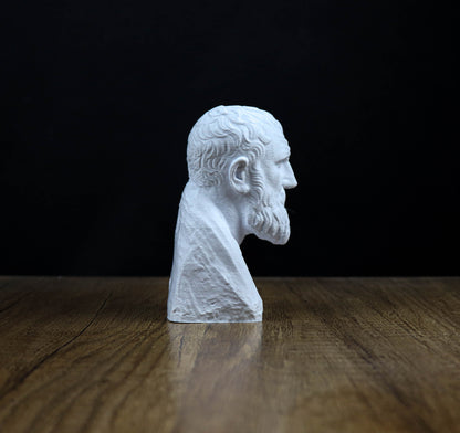 A white bust of a bearded man is displayed on a wooden surface against a black background.