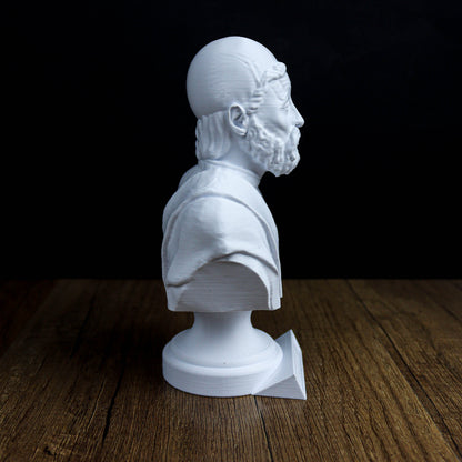 A white bust of a bearded man is displayed on a wooden surface against a dark background.
