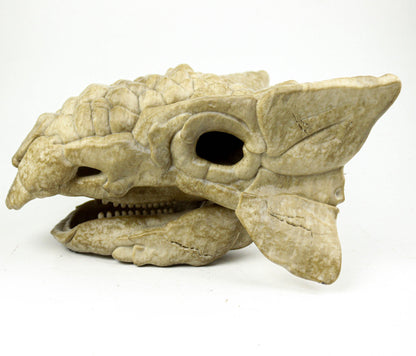 Ankylosaurus skull, Dinosaur Fossil Replica, Prehistoric Decor, Gift for Dinosaur Lovers