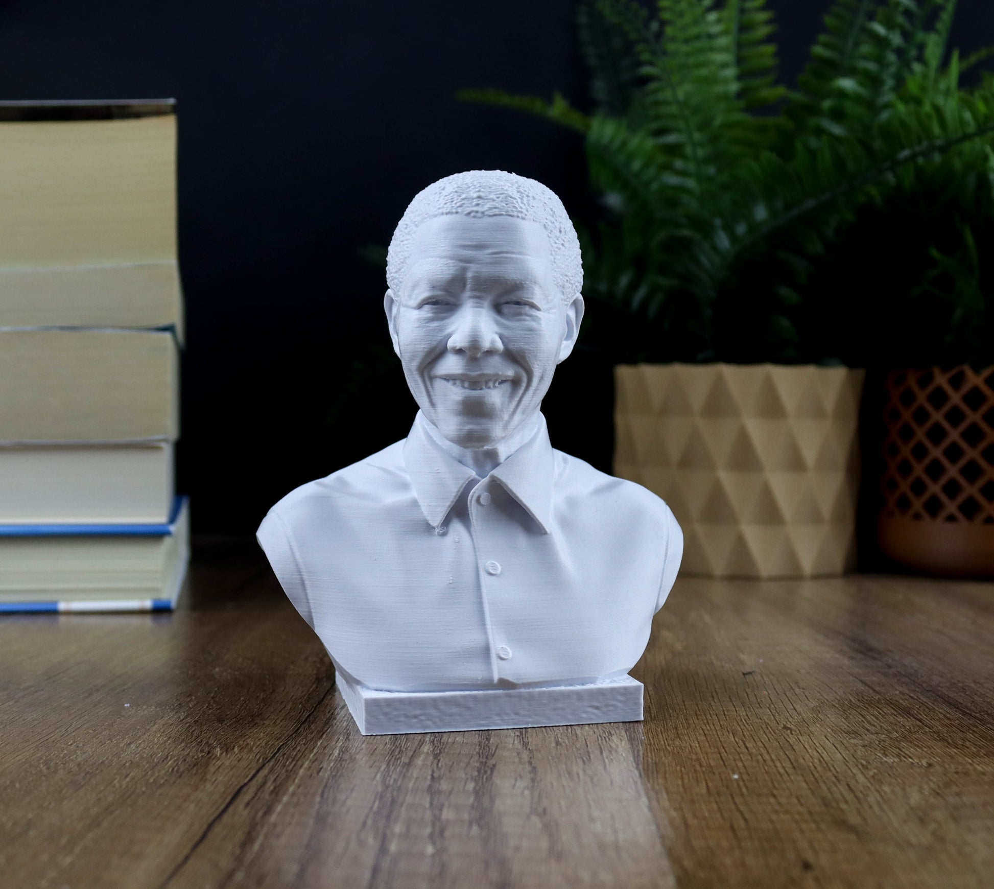 A white bust of Nelson Mandela, a prominent South African leader, is displayed on a wooden surface. In the background, there are stacks of books and a potted plant, creating a serene and intellectual atmosphere.