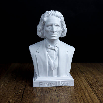 Franz Liszt Bust, Romantic Composer Sculpture for Bookshelf or Music Room Decor