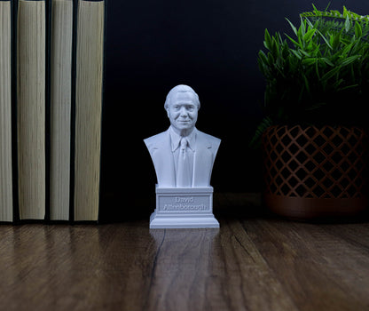 Sir David Attenborough Bust, British Broadcaster, Biologist and Author Statue