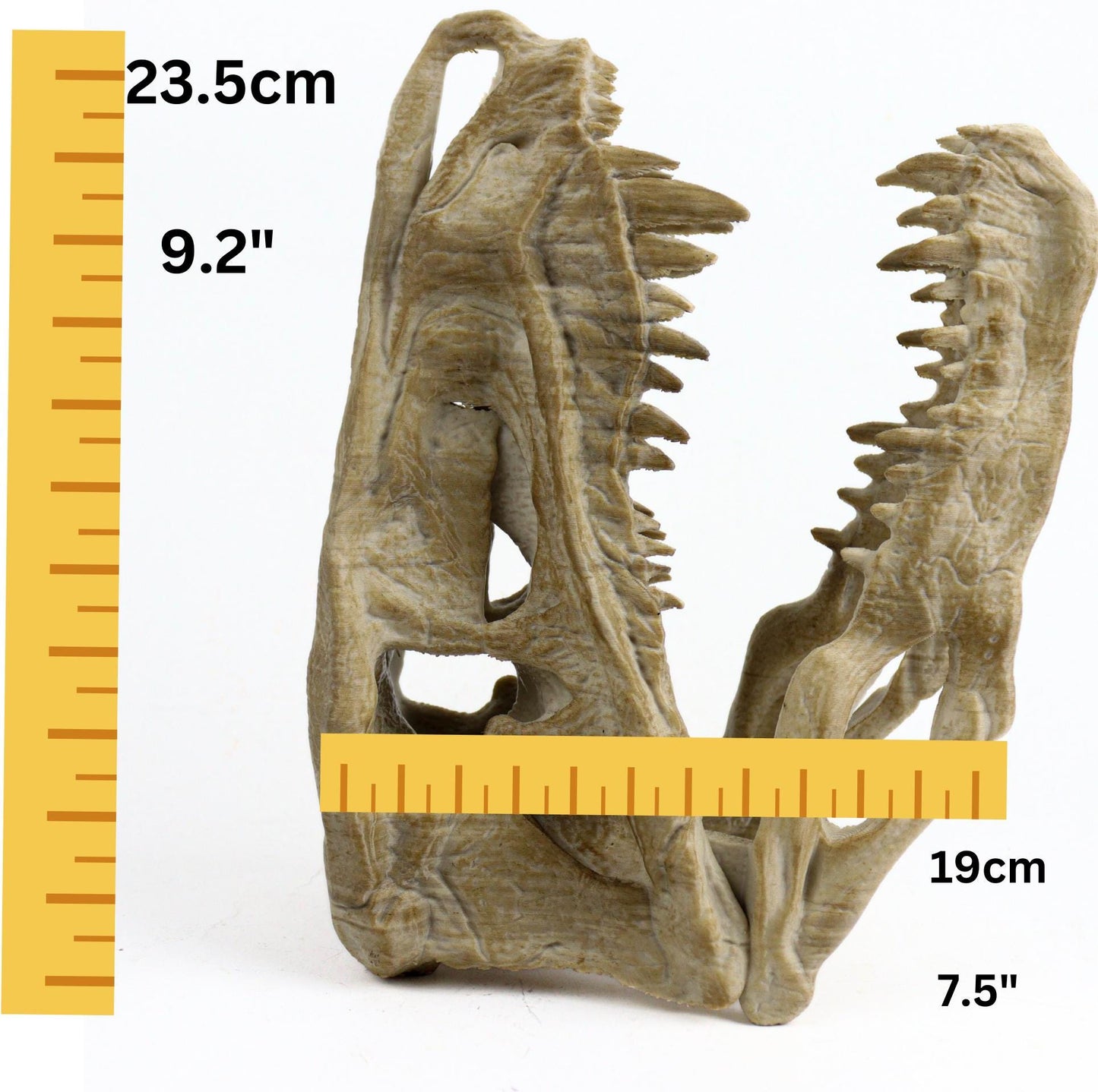 Postosuchus Kkull, Aged Reptile Skull Replica, Prehistoric Dinosaur Fossil Decor, Jurassic Collectible Gift