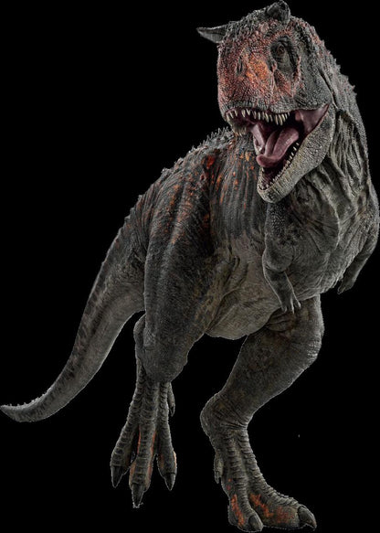 Aged Carnotaurus Skull Replica: Dinosaur Fossil Decor
