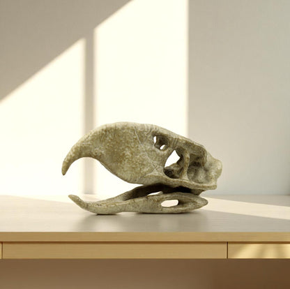 Phorusrhacos Skull Replica, Prehistoric Terror Bird Fossil Decor