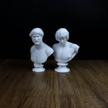 Hadrian and Antonious Bust,