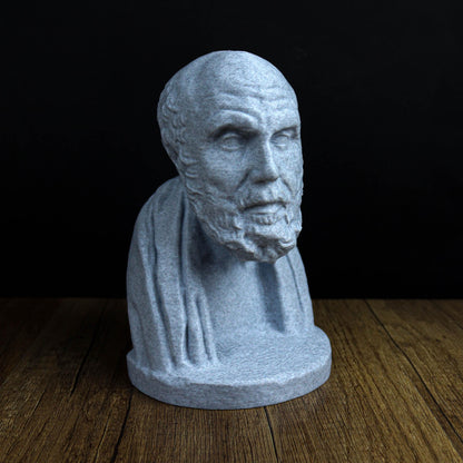 Chrysippus Bust, Statue of Ancient Stoic Philosopher for Bookshelf and Home Decor