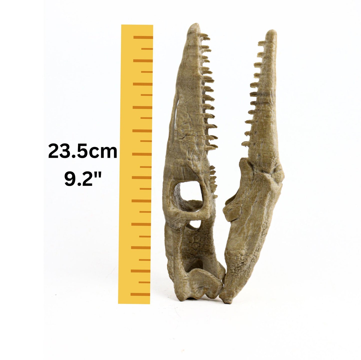 Mosasaurus Skull, Aged Reptile Skull Replica, Prehistoric Dinosaur Fossil Decor, Jurassic Collectible Gift