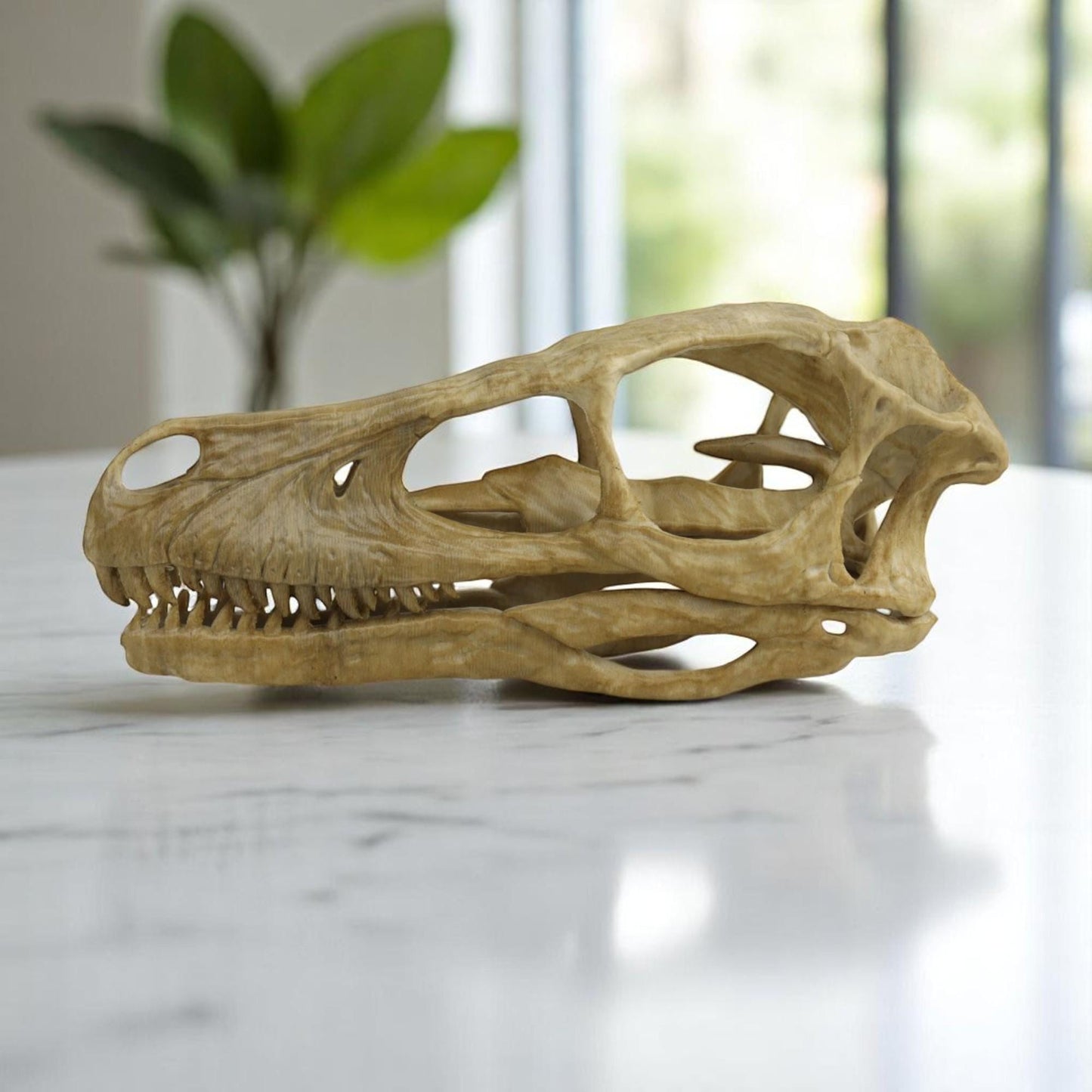 Velociraptor skull, Velociraptor Handpainted Aged Skull Replica, Prehistoric Dinosaur Fossil Decor, Jurassic Collectible Gift
