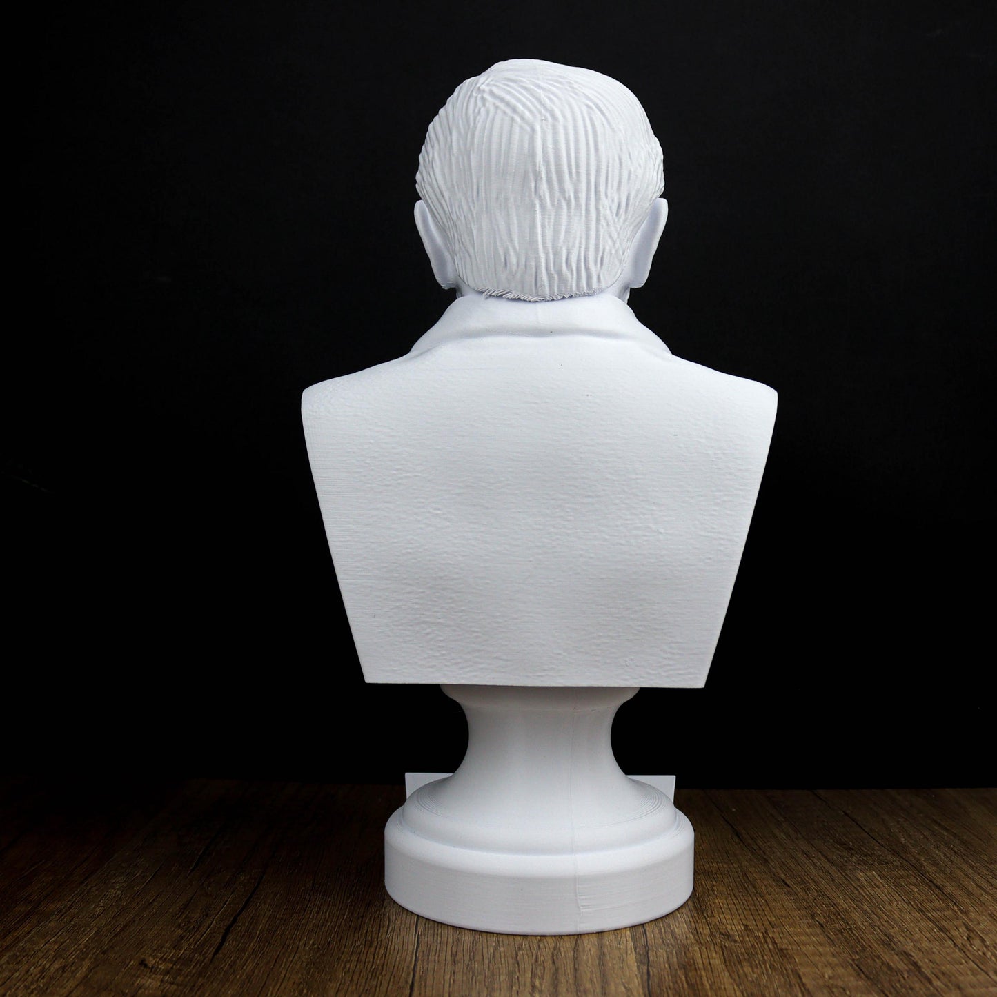 Joseph Conrad Bust, Unique Literary Home Decor