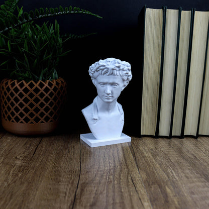 Augustus 3D Printed Bust, Roman Emperor Home Decor