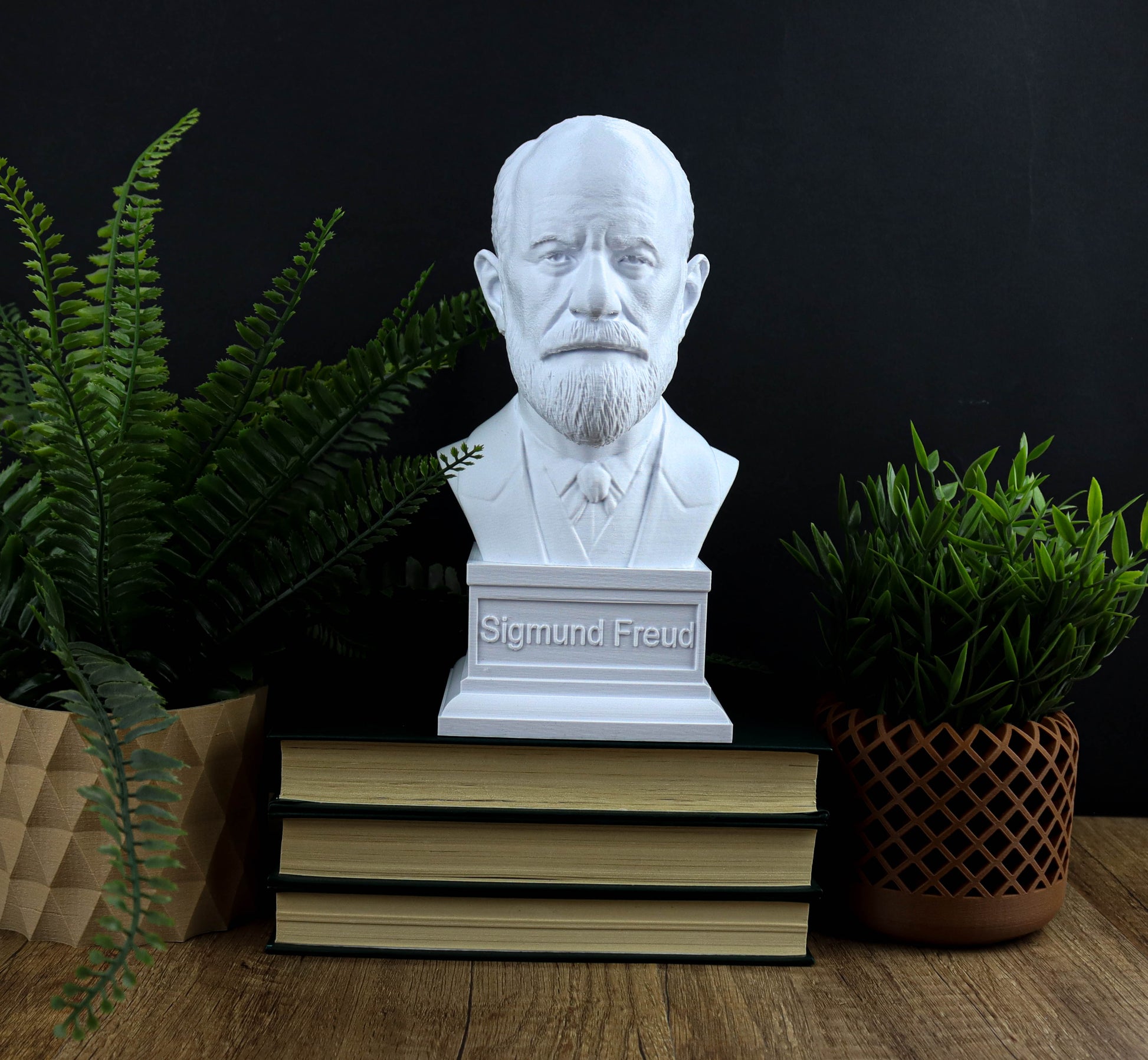 A bust of Sigmund Freud is displayed on a wooden surface, surrounded by books and potted plants.