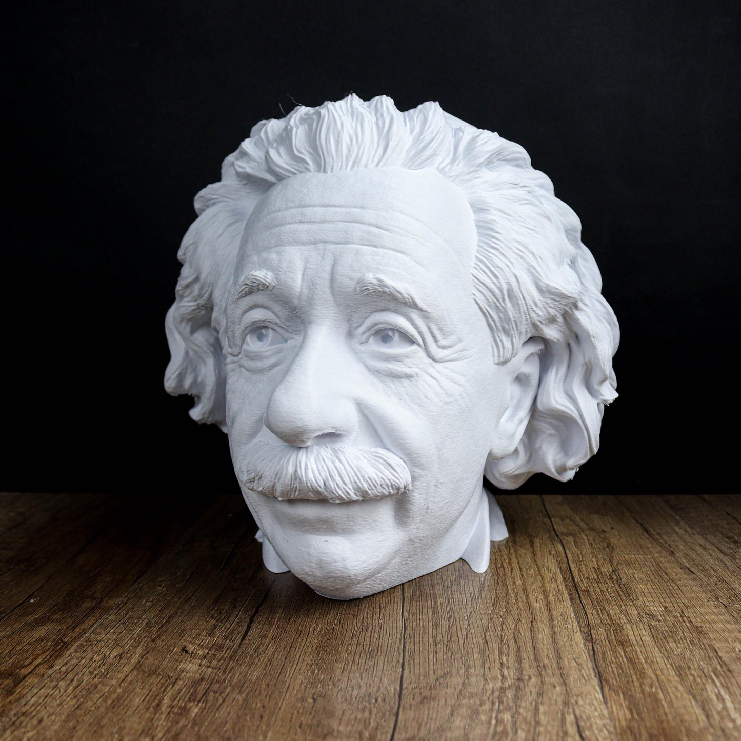 Albert Einstein Head Bust