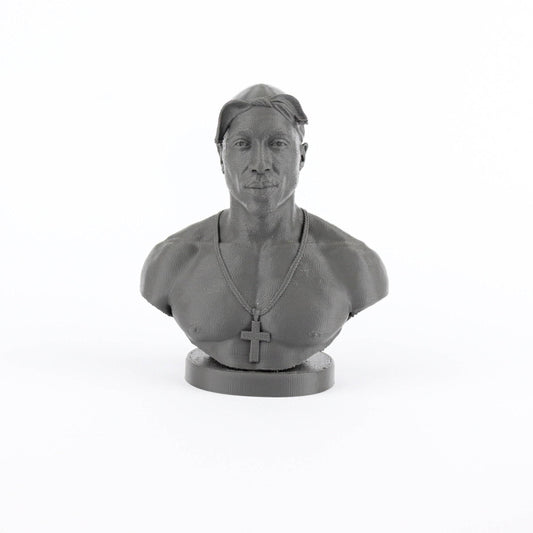 Tupac Shakur Bust