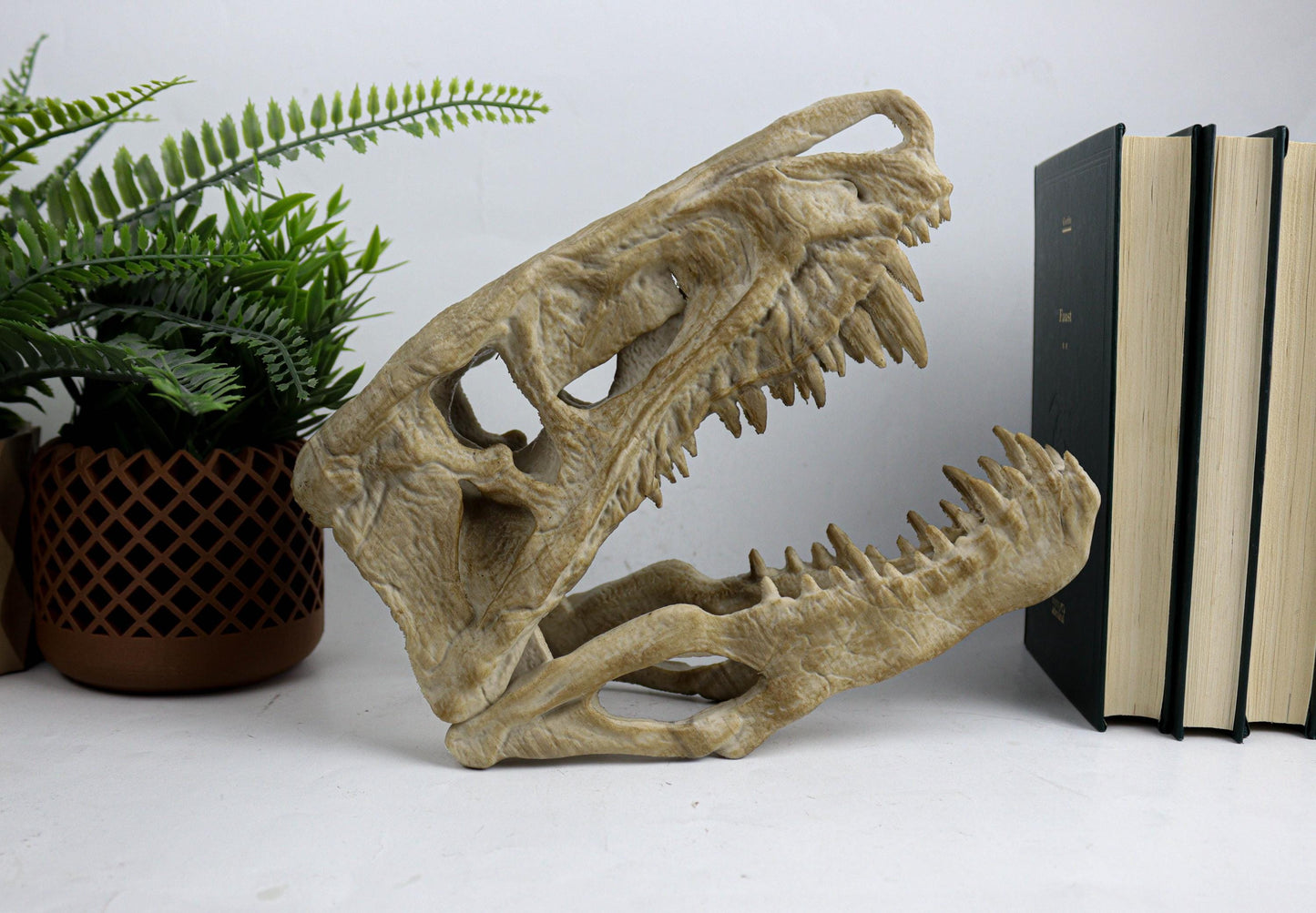 Postosuchus Kkull, Aged Reptile Skull Replica, Prehistoric Dinosaur Fossil Decor, Jurassic Collectible Gift