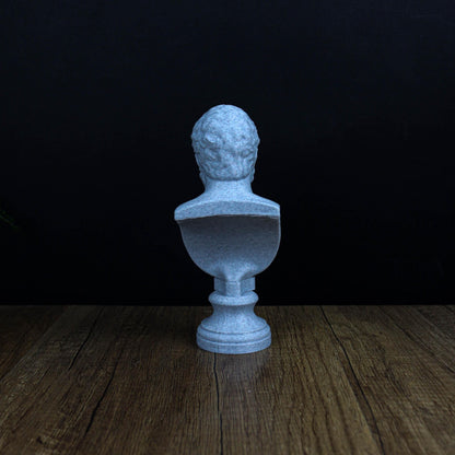 Heraclitus 3D Printed Bust, Greek Pre-Socratic Philosopher Statue, Bookshelf and Home Decor